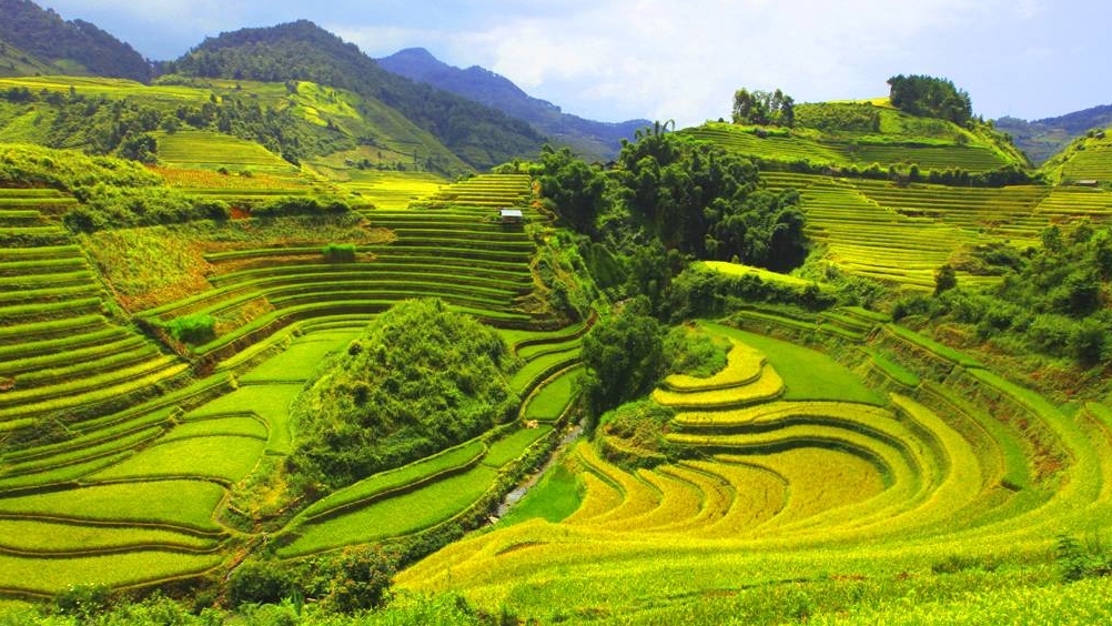 Mai Chau